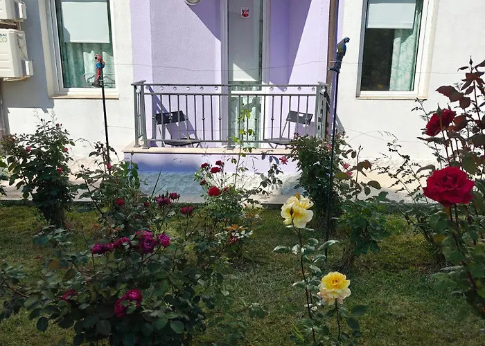 Viktoria * Μπαλτσίκ